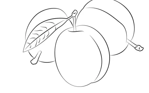 Prosta grafika przedstawiająca trzy śliwki z listkiem.