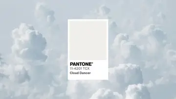 Kolory roku Pantone: delikatny odcień Cloud Dancer na tle błękitnych chmur.